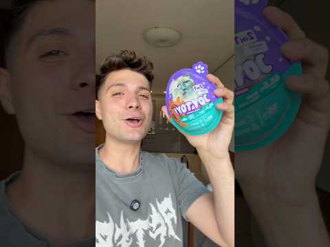 ШОКОЛАДОВО ЯЙЦЕ ЗА КОТКИ !!!