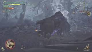 モンスターハンターワイルズ初見プレイ！！