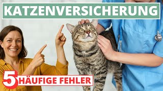 Beste Katzenversicherung - 5 Fehler bei der Tarifwahl