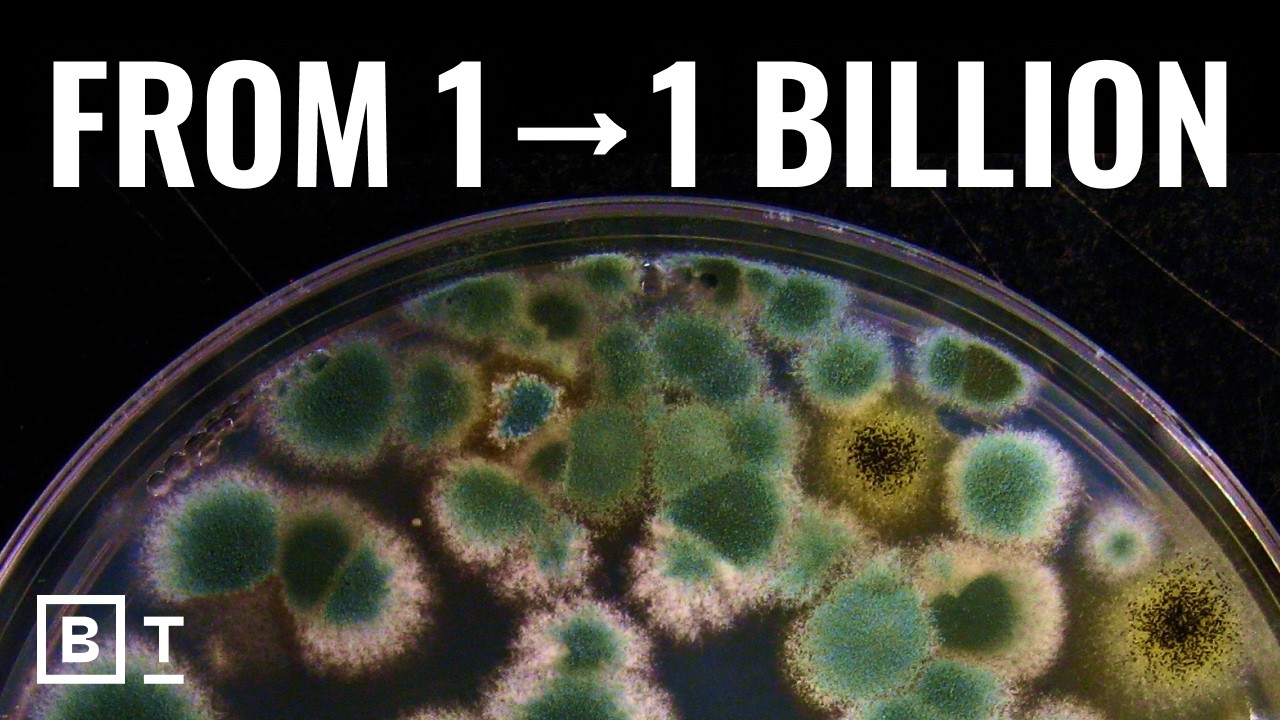 The mistake that saved 500 million lives | Derek Thompson (Ad-Free)