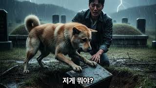 Download lagu 마루가 밝힌 진실 mp3