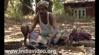 Petting a Deadly Friend