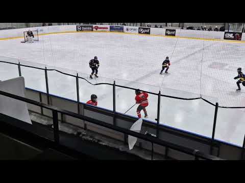HC PANTER - HK TORNAADO ELKV U12-1 2023/2024