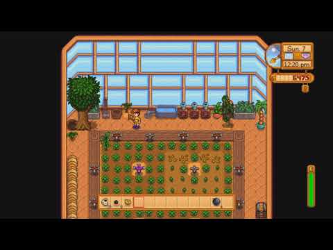 Video preview