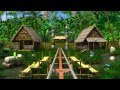 AMAZON 3D 4D 5D