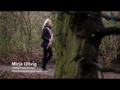 Trelleborgs kommun   Hållbar utveckling   1min