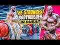 THE STRONGEST BODYBUILDER WE HAVE SEEN IN DUBAI!