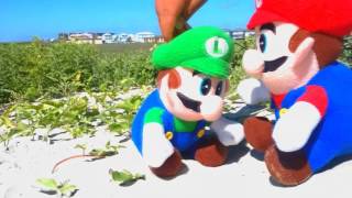 Mario Luigi and the Mysteries of Shy Island