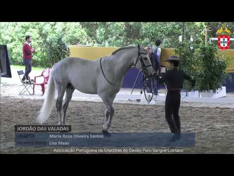 240128 70 Jordão das Valadas - Aprovação de Reprodutores