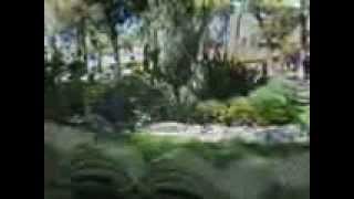 DAME UNA RAZON  Tema original de Valentín Juárez González