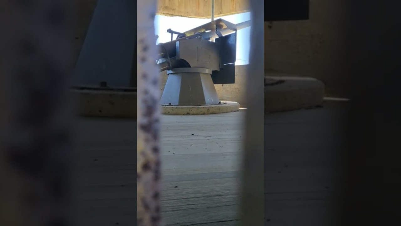 YouTube Short thumbnail