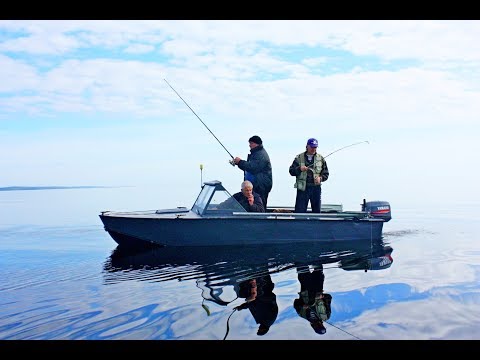 ПРОТОКА ЗАБИТА РЫБОЙ!!! Нереальная рыбалка в Белом море. Часть 3