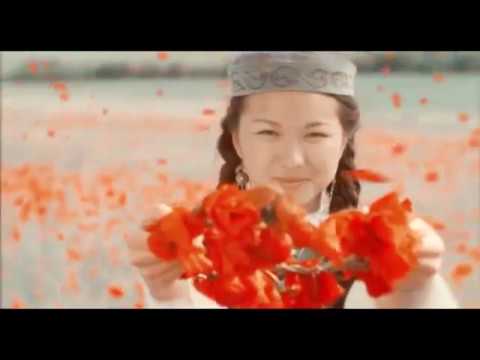 Трейлер