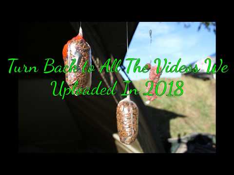 Fenland Carpers Wish You All A Happy New Year