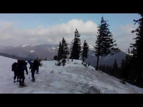 Горгани 2  січень 2017