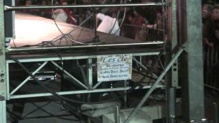 Arakne Mediterranea Taranta di Lizzano Ci è taranta