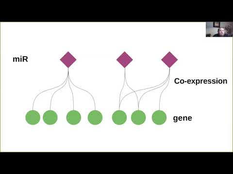 Highly-connected, non-redundant microRNAs... - Guillermo de Anda-Jáuregui - Talk - ISCB-LA 2020