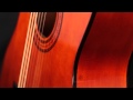Ashton CG44 Acoustic Guitar