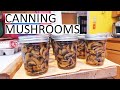Canning Mushrooms - Start To Finish