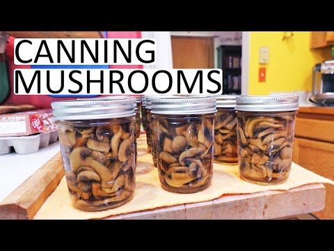 Canning Mushrooms - Start To Finish