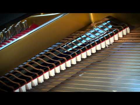 Michalis Andronikou - "Slow and Steady Wins the Race" (from the 14 Sayings for Piano)