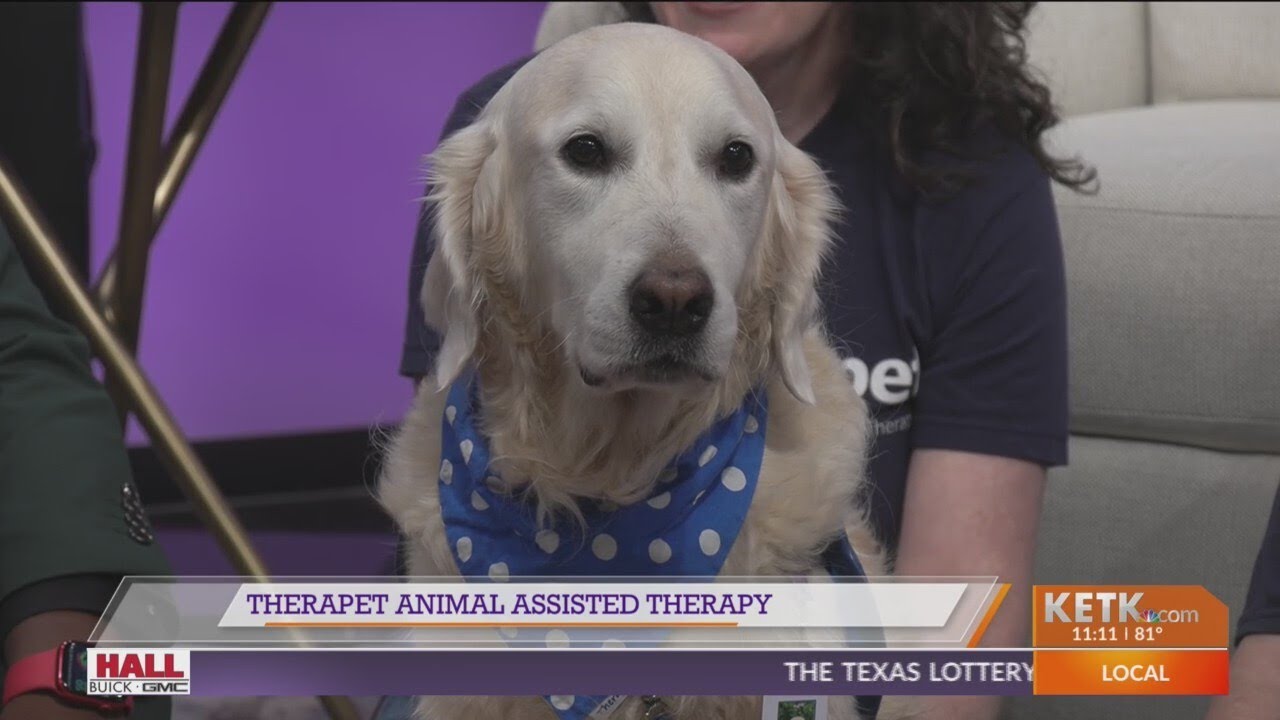 Therapet Animal Assisted Therapy tells us about their upcoming events