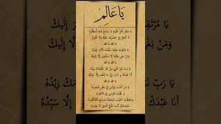 Download lagu YA ALIM BIKULLI ULUM mp3