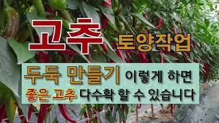 고추 토양 작업 두둑 만들기 이렇게 하면 좋은 고추 다 수확 할 수 있습니다. #주말농장 #텃밭에 고추 가꾸…