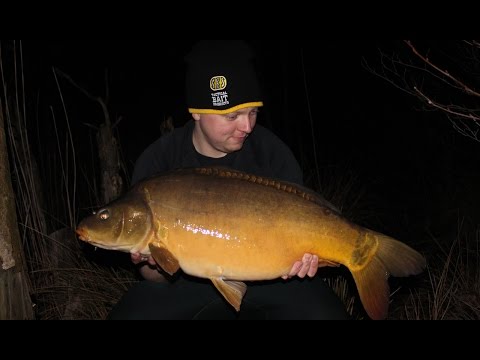 With Tamas through March