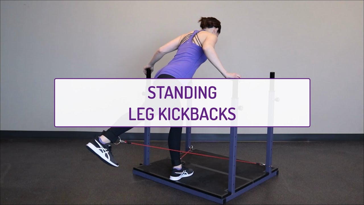 Standing Leg Kickbacks