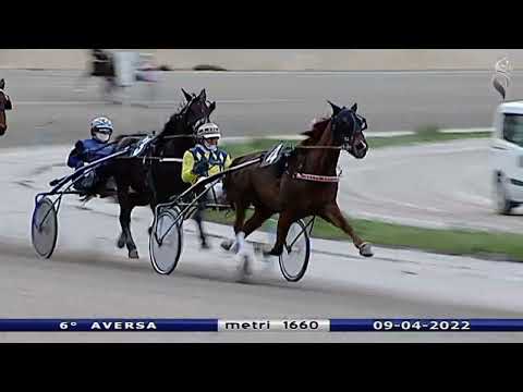 Aversa trotto 9 Aprile 2022 - 6° Corsa