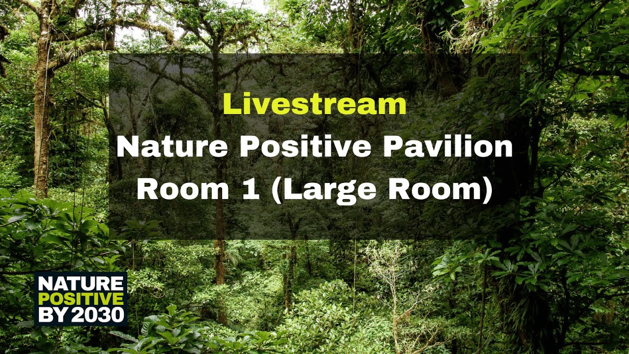 Day2: The Nature Positive Pavilion at COP16 - Room 1