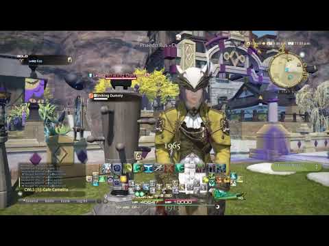 FFXIV Scholar, Sacred Soil target ps4 macro annotated