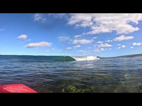 Quiet Morning on a Shallow Reef