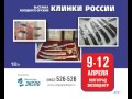 Выставка "Клинки России" в Волгограде 