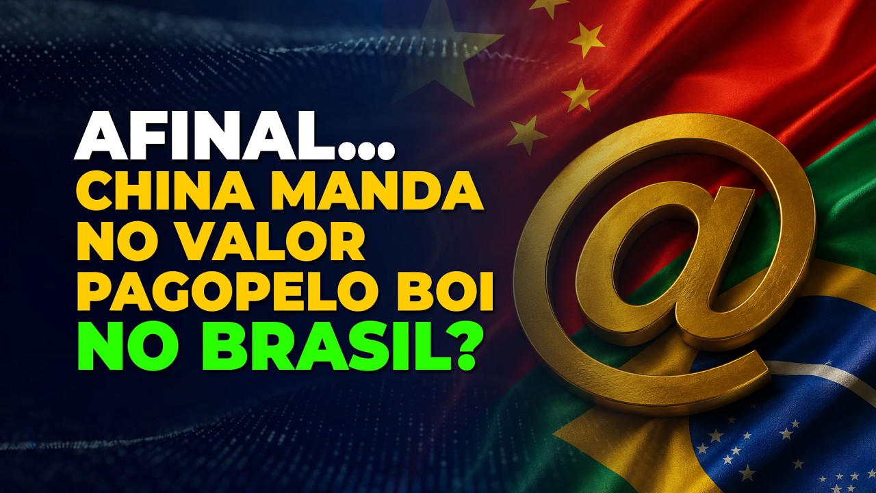 AFINAL... CHINA MANDA NO VALOR PAGO PELO BOI NO BRASIL?