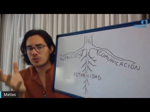 Day 347 ROOTS - Matias De Stefano - English Edit