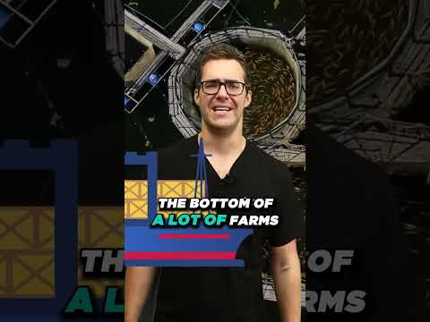 How does mercury get into fish Mercury Poisoning from Fish