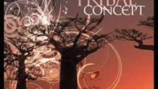 Mr. Williams CD Tribal Concept Baobab International Orchestra