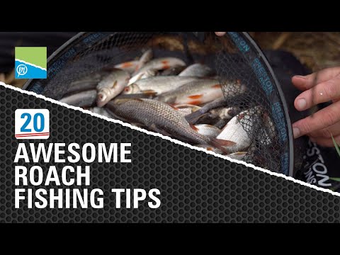 20 AWESOME Roach Fishing Tips!