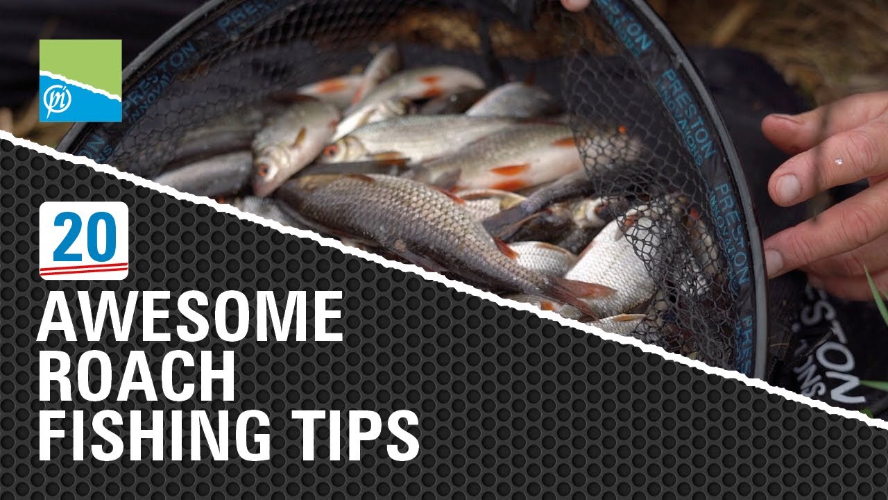 20 de sfaturi minunate pentru pescuitul babustei! (Video)