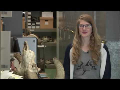 問Emily #3 (Ask Emily #3)