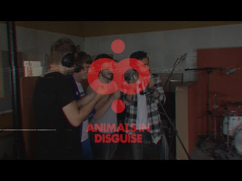 Animals in Disguise - Raining Gold EP - Teaser