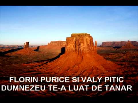 FLORIN PURICE SI VALY PITIC-DUMNEZEU TE-A LUAT DE TANAR