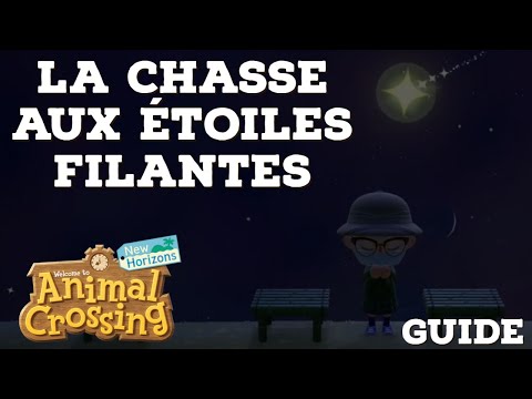 Les fragments d'étoiles filantes - Céleste - Animal Crossing New Horizons - Guide