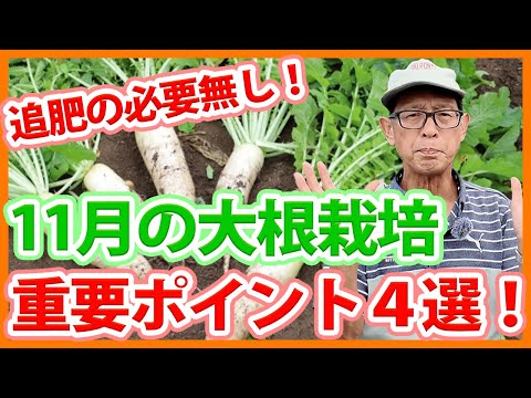 旧暦 2023 年 2 月 3 月の豆まき方法