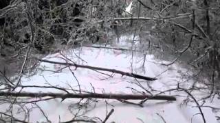 preview picture of video 'ice storm damage st george new brunswick'