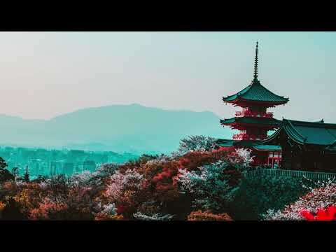 45min Japanese Spa relaxing music | Koto, Zen Garden, Instrumental, Spa, Sleep Music, Calm Music