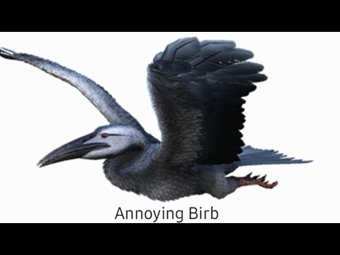 Easiest Way To Kill Cnidaria