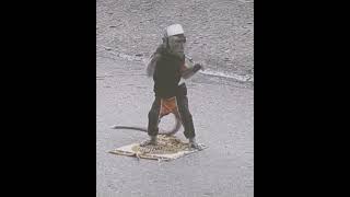 Download lagu monyet aja solat masa lo kaga II story wa 30 detik sad mp3